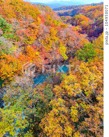 八幡平・松川渓谷の紅葉（森の大橋付近） 104958071