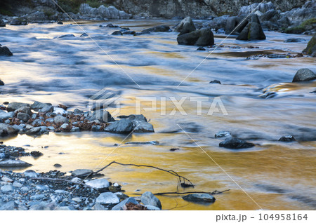 多摩川 多摩川 104958164
