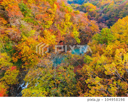 八幡平・松川渓谷の紅葉(森の大橋付近) 八幡平・松川渓谷の紅葉(森の大橋付近) 104958198