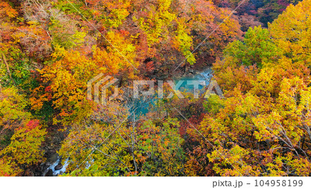 八幡平・松川渓谷の紅葉(森の大橋付近) 八幡平・松川渓谷の紅葉(森の大橋付近) 104958199