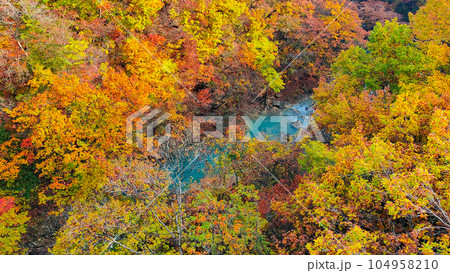 八幡平・松川渓谷の紅葉(森の大橋付近) 八幡平・松川渓谷の紅葉(森の大橋付近) 104958210