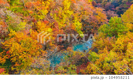 八幡平・松川渓谷の紅葉(森の大橋付近) 八幡平・松川渓谷の紅葉(森の大橋付近) 104958211