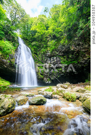初夏の龍頭が滝 雄滝 島根県雲南市 初夏の龍頭が滝 雄滝 島根県雲南市 104958387