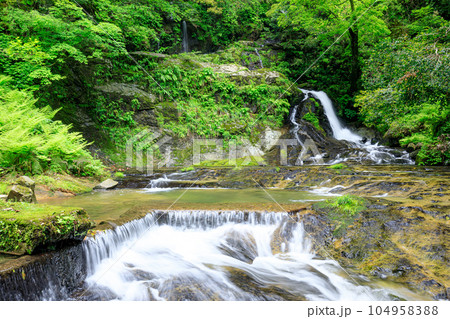 初夏の龍頭が滝 雌滝 島根県雲南市 初夏の龍頭が滝 雌滝 島根県雲南市 104958388