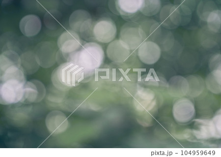 Green abstract nature background, selective focus with space to copy. High quality photo 104959649