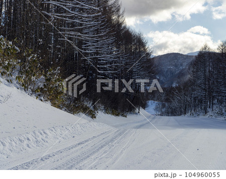 スキー場のゲレンデと木々の風景 104960055