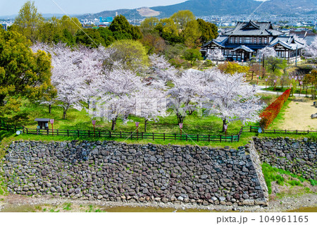 奈良　桜満開の郡山城　～天守台からの眺望～ 104961165