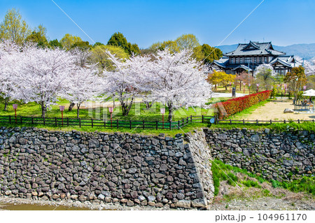 奈良　桜満開の郡山城　～天守台からの眺望～ 104961170