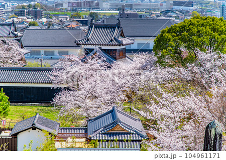 奈良 桜満開の郡山城 ~天守台からの眺望~ 奈良 桜満開の郡山城 ~天守台からの眺望~ 104961171