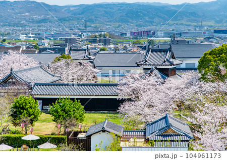 奈良 桜満開の郡山城 ~天守台からの眺望~ 奈良 桜満開の郡山城 ~天守台からの眺望~ 104961173