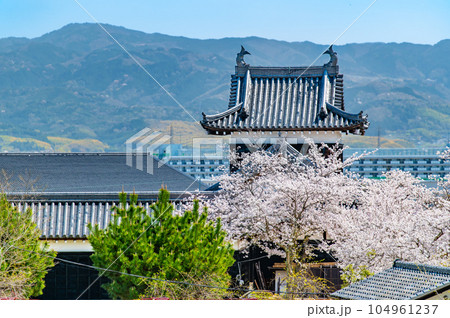 奈良　桜満開の郡山城　～追手向櫓～ 104961237