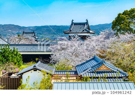 奈良　桜満開の郡山城　～追手向櫓～ 104961242