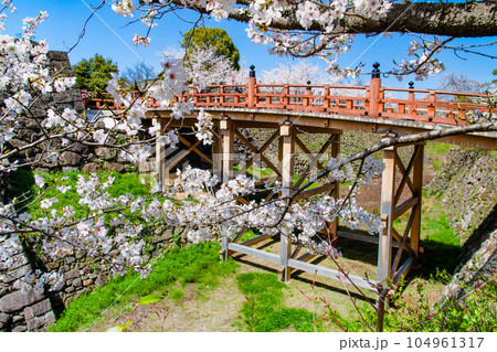 奈良 桜満開の郡山城 ~極楽橋~ 奈良 桜満開の郡山城 ~極楽橋~ 104961317
