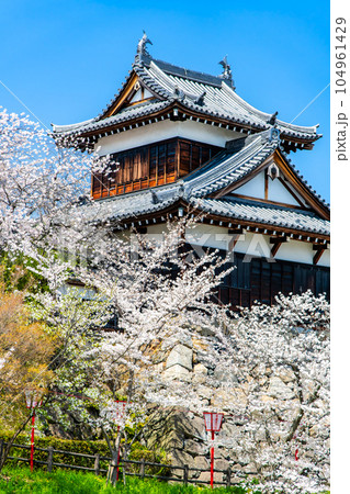 奈良　桜満開の郡山城　～追手向櫓～ 104961429