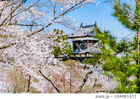 奈良 桜満開の郡山城 ~追手向櫓~ 奈良 桜満開の郡山城 ~追手向櫓~ 104961431