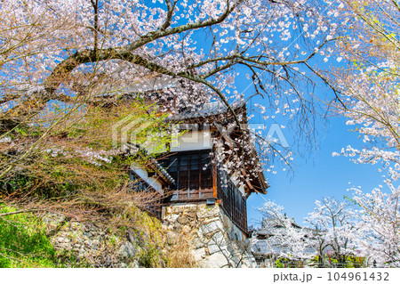 奈良 桜満開の郡山城 ~追手向櫓~ 奈良 桜満開の郡山城 ~追手向櫓~ 104961432