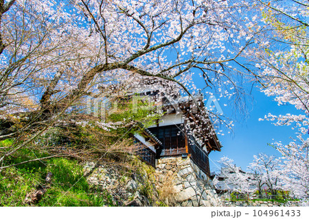 奈良　桜満開の郡山城　～追手向櫓～ 104961433