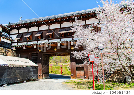 奈良 桜満開の郡山城 ~追手門~ 奈良 桜満開の郡山城 ~追手門~ 104961434