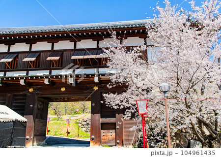 奈良　桜満開の郡山城　～追手門～ 104961435