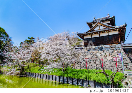 奈良　桜満開の郡山城　～追手向櫓～ 104961437