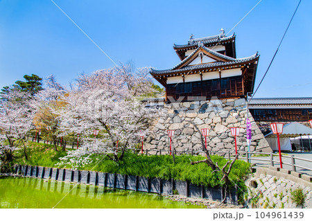 奈良　桜満開の郡山城　～追手向櫓～ 104961439