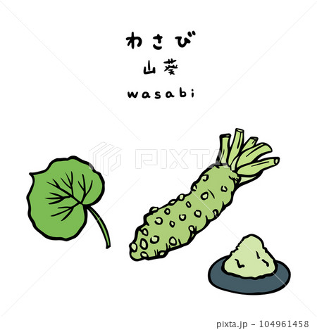 わさび 薬味 カラーイラスト わさび 薬味 カラーイラスト 104961458
