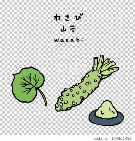わさび 薬味 カラーイラスト わさび 薬味 カラーイラスト 104961458