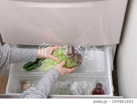 【野菜室からサニーレタスを出す主婦】 104961883