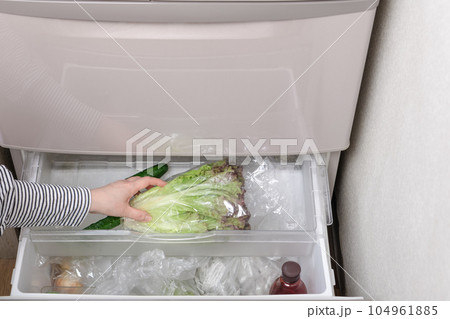 【野菜室からサニーレタスを出す主婦】 104961885