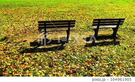 落葉が敷き詰められた秋の公園のふたつのベンチの風景 落葉が敷き詰められた秋の公園のふたつのベンチの風景 104961905
