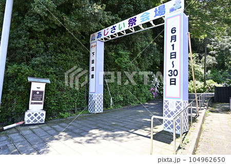 下田公園あじさい祭り入口 104962650