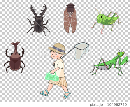 Children collecting insects - Stock Illustration [104962750] - PIXTA