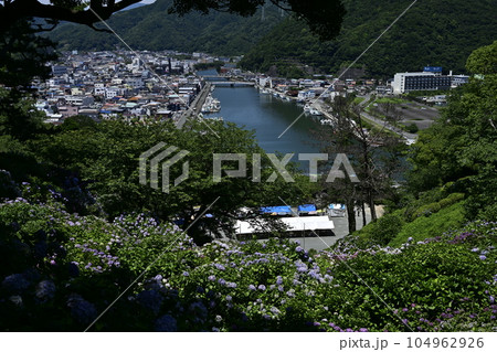 あじさい咲く下田公園より下田市街を望む あじさい咲く下田公園より下田市街を望む 104962926