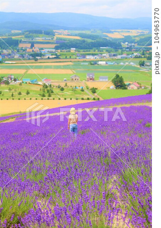 七月初旬の北海道、富良野、日の出公園のラベンダー畑から上富良野を眺める、北海道の夏の空 104963770