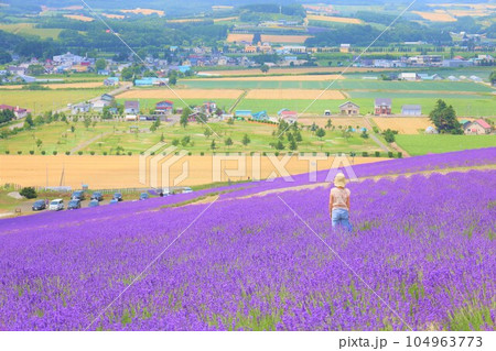 七月初旬の北海道、富良野、日の出公園のラベンダー畑から上富良野を眺める、北海道の夏の空 104963773