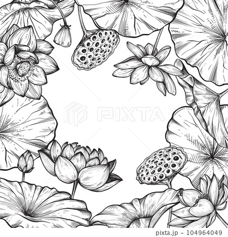 Vector frame with hand drawn blooming lotus flowers and leaves. Vector frame with hand drawn blooming lotus flowers and leaves. 104964049