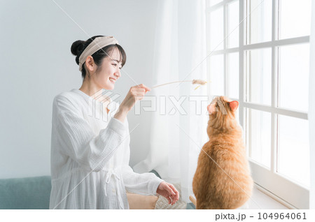 猫じゃらしを使って愛猫と遊ぶ飼い主のアジア人女性 猫じゃらしを使って愛猫と遊ぶ飼い主のアジア人女性 104964061