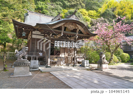 【四所神社】 兵庫県豊岡市城崎町湯島 【四所神社】 兵庫県豊岡市城崎町湯島 104965145