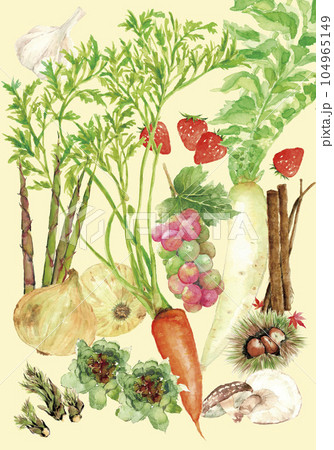水彩で描いた色々な野菜のイラスト 背景色あり 水彩で描いた色々な野菜のイラスト 背景色あり 104965149