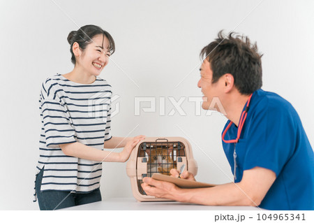 動物病院で獣医師に診察を受ける猫と飼い主のアジア人女性（ペット） 104965341