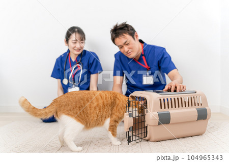 猫を抱く動物病院の男女の獣医師（アジア人） 104965343