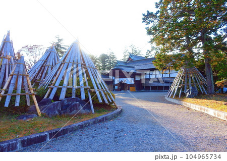 上杉伯爵邸 雪囲い 冬囲い 雪 上杉伯爵邸 雪囲い 冬囲い 雪 104965734