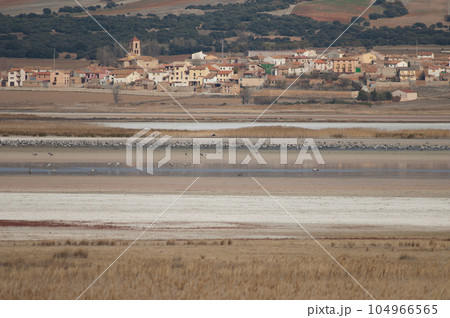 Common cranes and Gallocanta village. 104966565