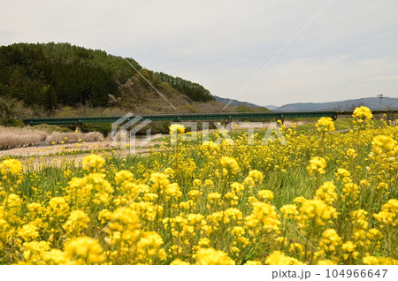 SL銀河も走ったJR釜石線 猿ヶ石川橋梁 104966647