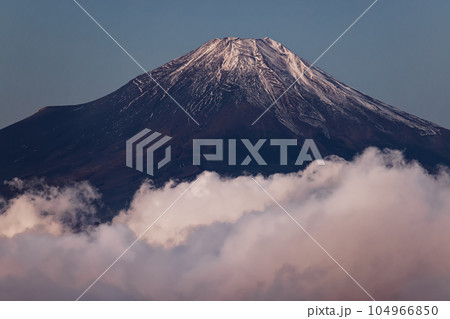 丹沢・檜洞丸から見る朝焼けの富士山と雲海 104966850