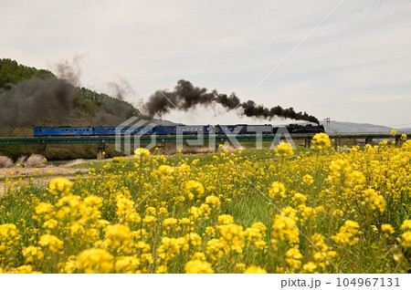 SL銀河も走ったJR釜石線 猿ヶ石川橋梁 104967131