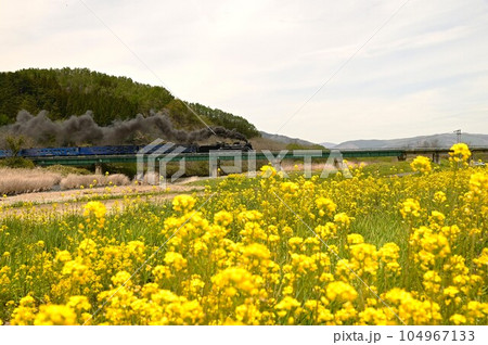 SL銀河も走ったJR釜石線 猿ヶ石川橋梁 SL銀河も走ったJR釜石線 猿ヶ石川橋梁 104967133