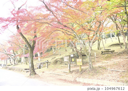 霞間ヶ渓の紅葉 104967612