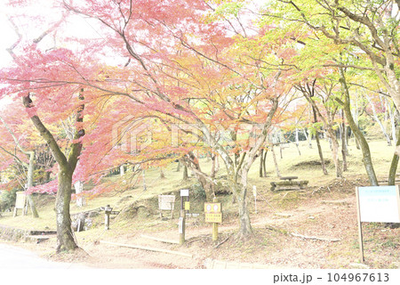 霞間ヶ渓の紅葉 霞間ヶ渓の紅葉 104967613