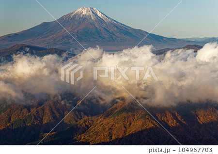 丹沢山地・檜洞丸から見る朝の富士山と雲海 丹沢山地・檜洞丸から見る朝の富士山と雲海 104967703